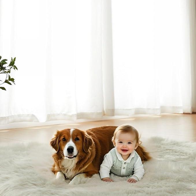 AMTOVO Faux Fur Sheepskin Rug for Living Room, 4 x 6 ft Light Grey Fluffy Area Rug for Bedroom, Playroom, Luxury Room Decor, Rectangle