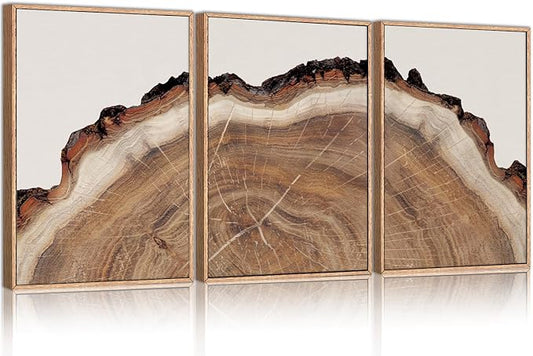 HPINUB Framed Tree Rings Wood Wall Art Set, Modern Beige Wood Stump Wall Decor, Abstract Black and Gray Tree Spiral Wall Painting, Nature-Inspired Art Print for Living Room, Bedroom, Office-24"x36"x3