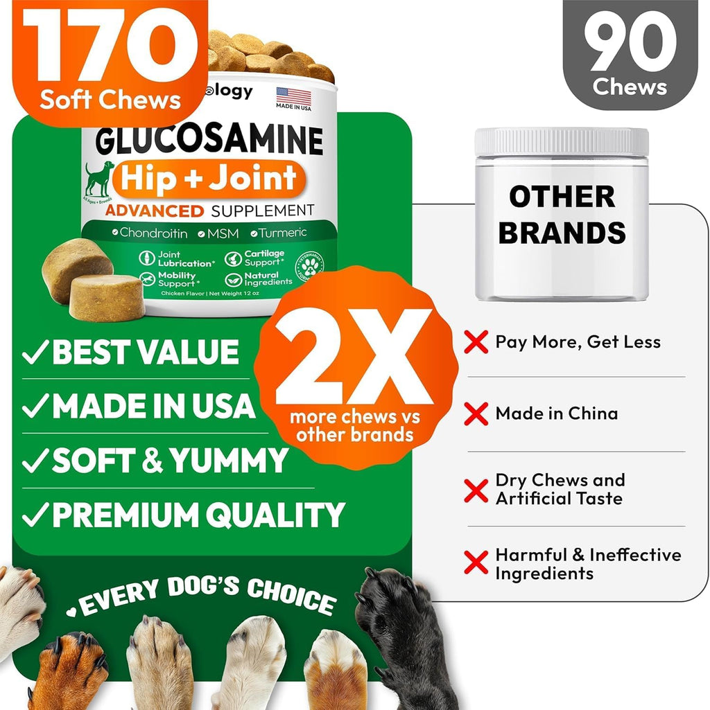(2 Pack) Glucosamine for Dogs - 340 Mobility Chews - Advanced Hip and Joint Supplement for Dogs - Glucosamine Chondroitin - MSM - Joint Pain Relief