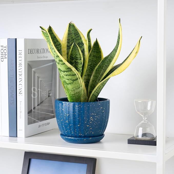 4/5/6 Inches Ceramic Plant Pots with Drainage Holes and Saucers, Round Flower Pots for Indoor Plant, Modern Flower Planters Set of 3 (Blue with Dot-Big Size)