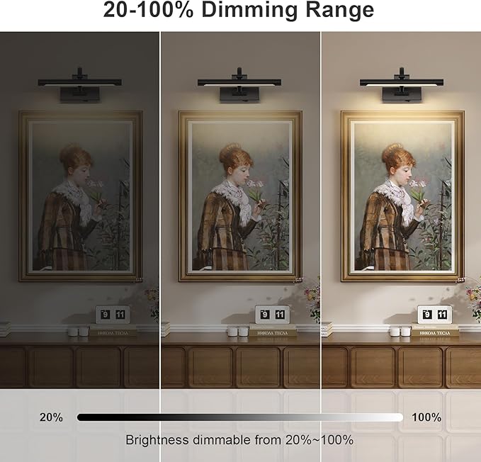 Battery Operated Picture Lights for Wall Black Art Light Wireless Gallery Lights with Timer and Remote 12 Inch 2W Warm White