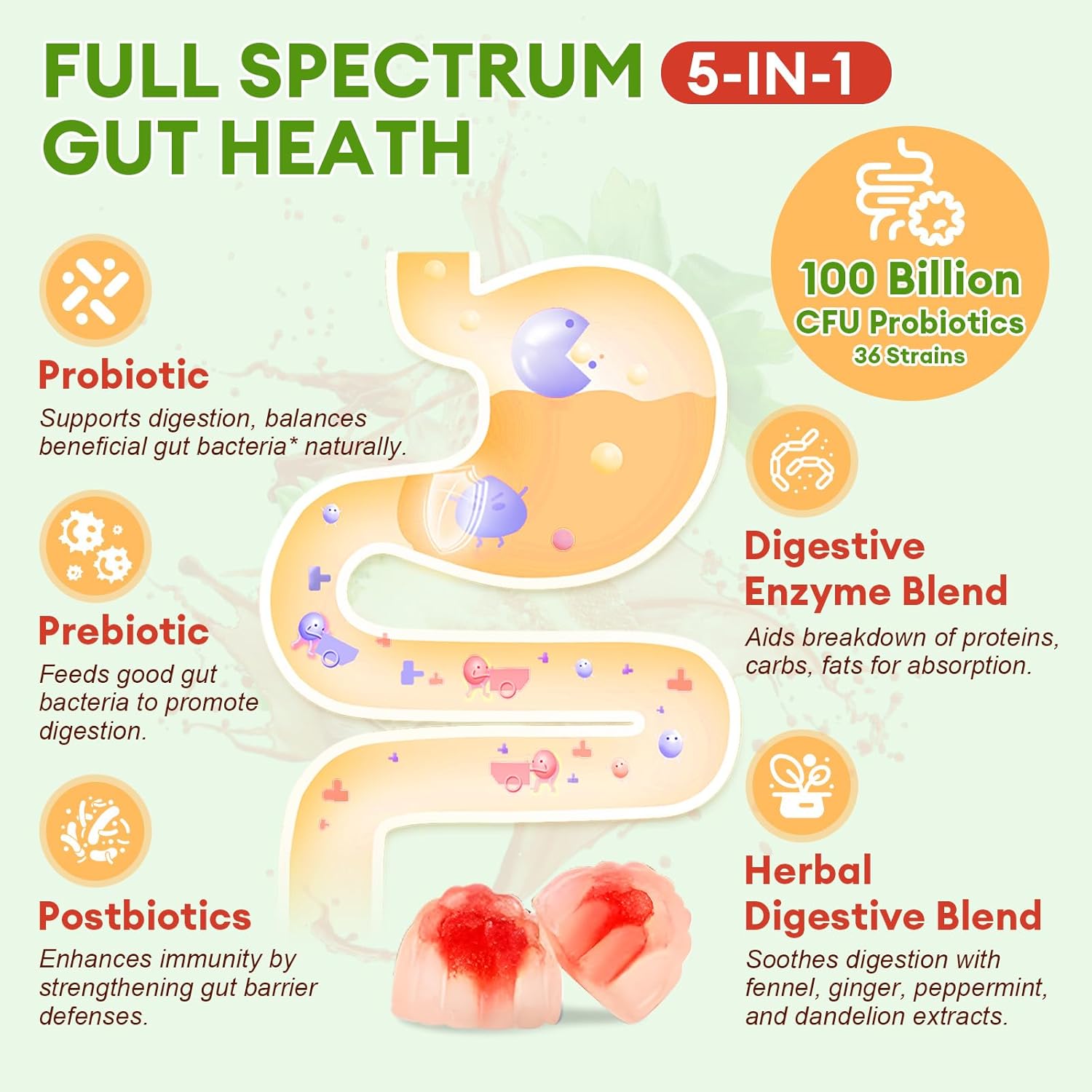 (2 Packs) Totaria Sugar Free 5-in-1 Probiotic Prebiotic Postbiotic Gummy, Probiotics for Women Men with Digestive Enzymes, Peppermint, Complete Immune, Gut & Digestive Support, Vegan Strawberry Flavor