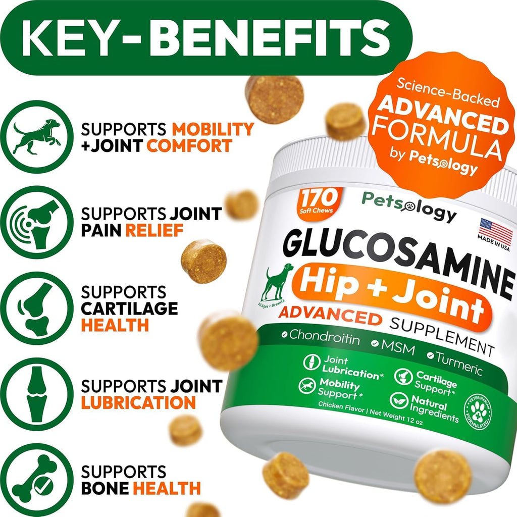 (2 Pack) Glucosamine for Dogs - 340 Mobility Chews - Advanced Hip and Joint Supplement for Dogs - Glucosamine Chondroitin - MSM - Joint Pain Relief