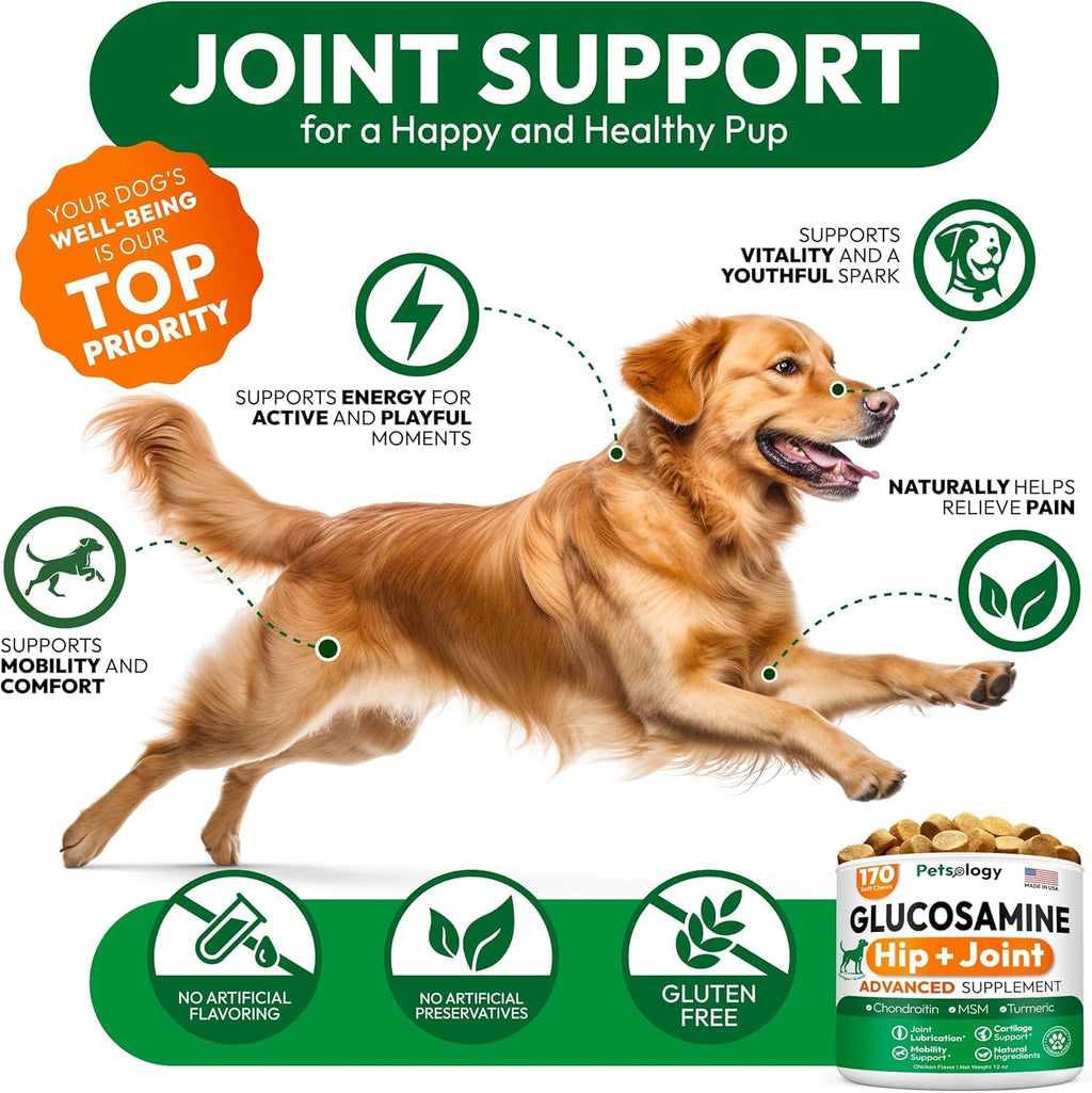 (2 Pack) Glucosamine for Dogs - 340 Mobility Chews - Advanced Hip and Joint Supplement for Dogs - Glucosamine Chondroitin - MSM - Joint Pain Relief