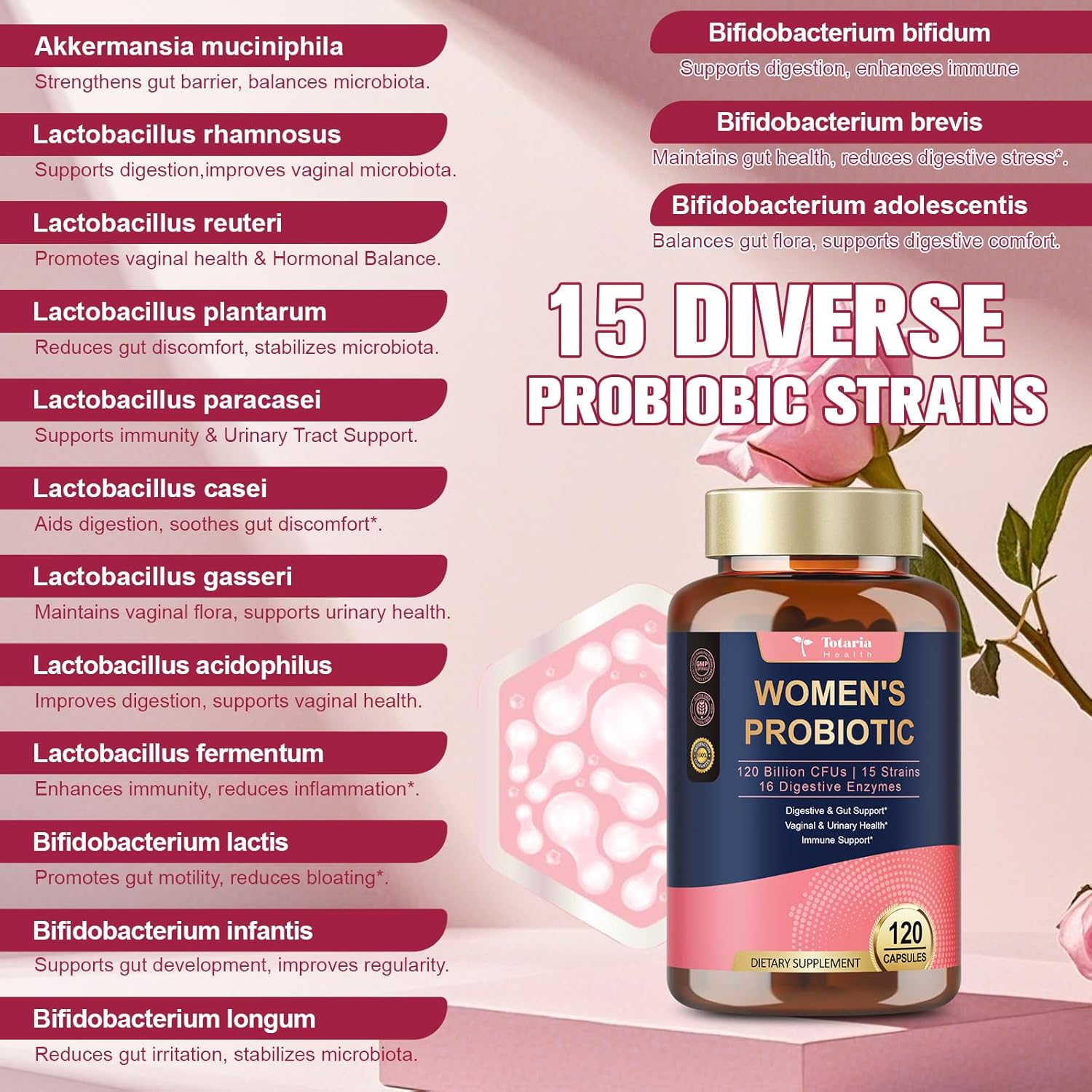 (2 Packs) Probiotics for Women, 120 Billion Women Probiotic, Digestive Enzymes & Prebiotics, with Akkermansia, Cranberry, D-Mannose, for Gut, Urinary, Immune, PH Balance, 240 Vegan Capules
