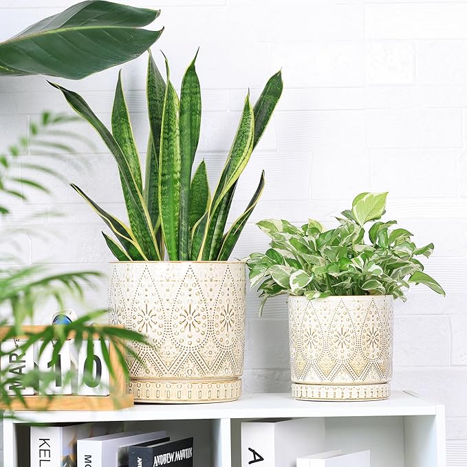 8 Inch + 6 Inch Indoor Plant Pot with Drainage Holes and Saucers, Ceramic Planter for Plants, Succulent Orchid Flower Pots