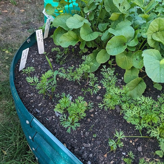 2 Pack 8x4x1FT Galvanized Raised Garden Bed Kit Oval Metal Ground Planter Box Outdoor Bottomless Planter Raised Beds for Vegetables Flowers Herbs Fruits, Green