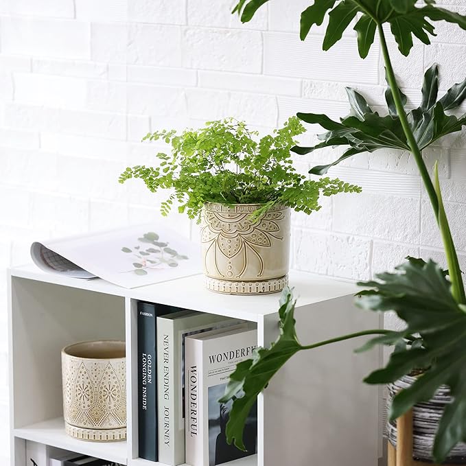 6 Inch Indoor Plant Pots with Drainage Holes and Saucers, Ceramic Planter for Plants, Flower Pot - Set of 2