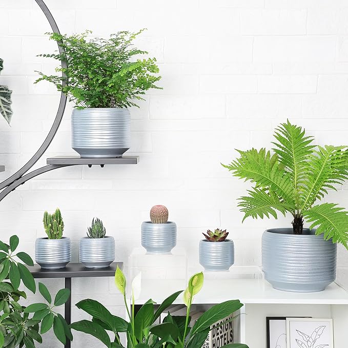 8 Inch + 6 Inch Ceramic Plant Pots Indoor with Drainage – Flower Pot Set, Decorative Indoor Planters for House Plants and Garden Use