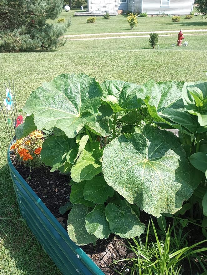 2 Pack 8x4x1FT Galvanized Raised Garden Bed Kit Oval Metal Ground Planter Box Outdoor Bottomless Planter Raised Beds for Vegetables Flowers Herbs Fruits, Green